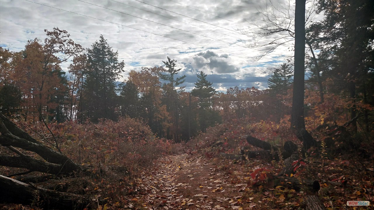 7dc1859a-f5a3-4085-ac36-c12abda984e8